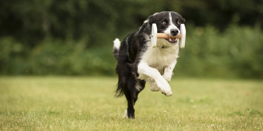 cropped-thumbnail_IMG_3025.jpg